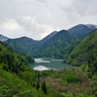 Озеро Рица :: Вера Макарова