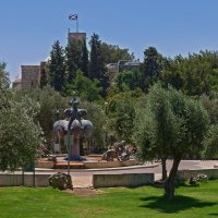 Львиный фонтан на фоне храма Святого Андреуса. Иерусалим. :: Алла Шапошникова