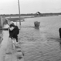 Нарым 1960 г. :: Олег Афанасьевич Сергеев