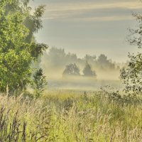 Утро :: Андрей Зайцев