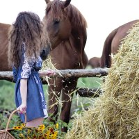 Гулянья на конюшне :: Елена Лила