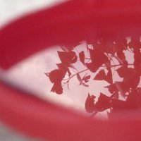 Отражение листвы в воде на красном :: Karlina *** (Елена К)