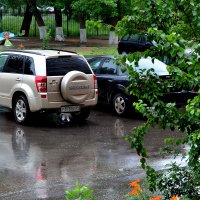 В моём городе дождь... :: ОЛЬГА КОСТИНА