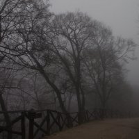 туман :: Алексей Смирнов