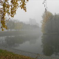 Туман в городе :: Анатолий Цыганок