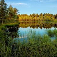 Озеро Чёрное в июле... :: Федор Кованский
