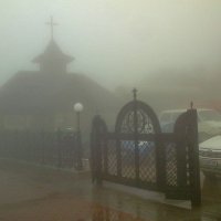 осений туман :: valeriy g_g