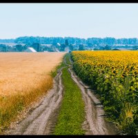 то место, где сходятся два разных взгляда... :: Александр Мартовецкий