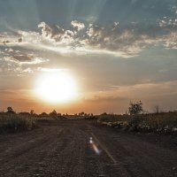 Дорога к солнцу :: Александр Журавлёв