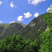 Дигория ,Дигорское ущелье,Северная Осетия :: lyuda Karpova