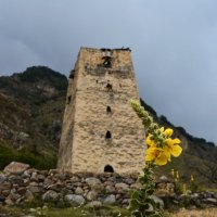 Цветок на фоне старой башни в горах :: Oleg Khot