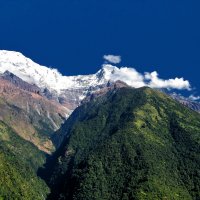 Гималаи.Непал. :: Александр Вивчарик