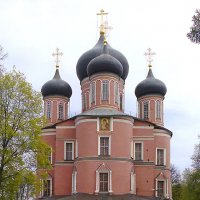 Донской монастырь :: Ирина Борисова