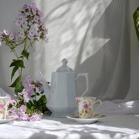 Солнечное утро, тени на стене :: Наталия Лыкова
