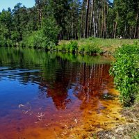 Вода, вода... Кругом вода... :: Павел Зюзин