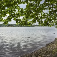 На озере Möhnesee. :: Eleonora Mrz