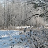 Декабрьский велосипед :: Тарас Грушивский