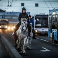 Питер 13 :: Олег Каргаполов