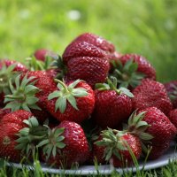 Сладка ягода летом на даче. :: Irina Fabien