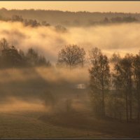 Туман и солнце :: Надежда Лаврова