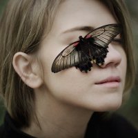 "Бабочка" :: Дарья Сивачук
