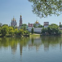 Новодевичий монастырь :: Геннадий Слезнёв
