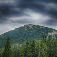 Гора Хом&#39;як :: Олександр Масний