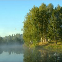 В одно прекрасное утро. :: Андрей Русинов