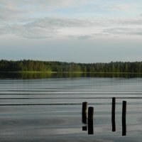 Тихо вечер наступал. :: Елена Р 