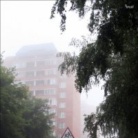 Утренний туман :: Виктор Крейдер