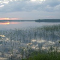 Нижнее Падозеро. :: ПК 