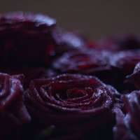 розы :: Юлия Чорнявская