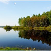 отражение в озере :: Сергей Швечков