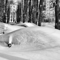 в зимней спячке :: Елена Лагода