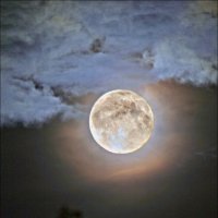 Лунная ночь-1... :: Виктор Крейдер
