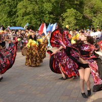 Цыганский танец :: Владимир Болдырев