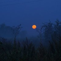 Лунный закат. :: Алексей Ревук