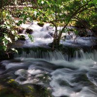 Krka National park (Сroatia) :: Victoria Victoria