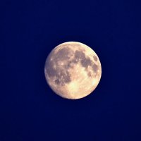 Луна, луна... :: Alexandr Zykov 
