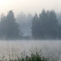 В тумане утреннем.... :: Юрий Цыплятников