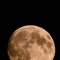 Луна :: Кот Шредингера