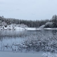 раннее утро... :: Артем 