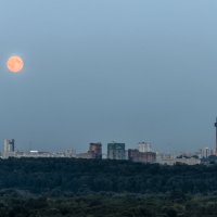 Вид восхода Луны с крылатских холмов(часть панорамы) :: Николай 