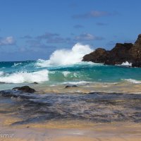 Пляж Honolulu :: Vita Farrar