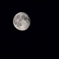 Луна в перигее :: Юрий Муханов