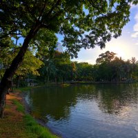 Lumpini park :: Георгий Муравьев