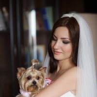 Свадьба Юлии и Мирослава :: Олеся Шаповалова