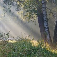 Утренние диагонали :: Юрий Цыплятников