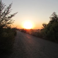 Дорога к восходу :: Marina Timoveewa