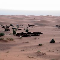 Рассвет в пустыне :: Марина Бушуева